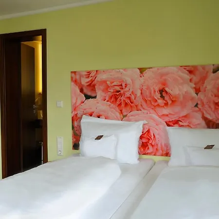 Hotel Heckenrose Ringsheim