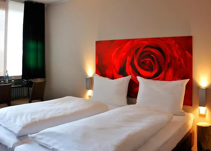 Heckenrose Ringsheim