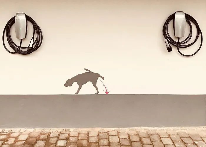 Heckenrose Otel Ringsheim